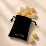 Charging Pouch — Abundance
